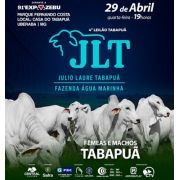 4º Mega Leilão JLT e Amigos